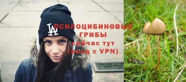 соль ск Новокубанск