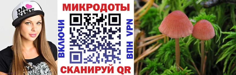 купить наркотик  Николаевск  Псилоцибиновые грибы Cubensis 
